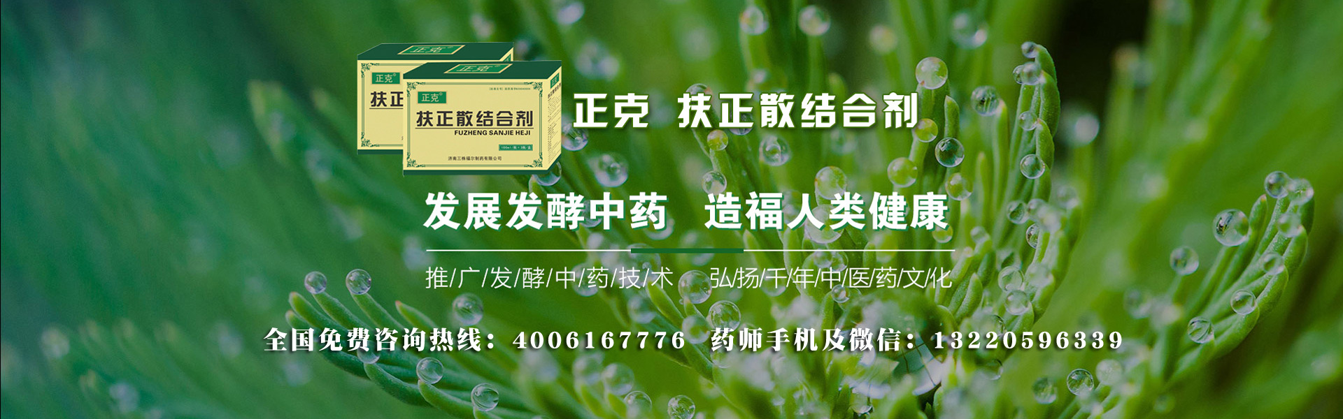 PC端幻灯二